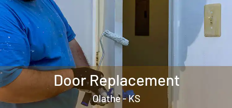 Door Replacement Olathe - KS