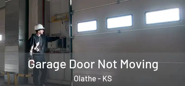  Garage Door Not Moving Olathe - KS