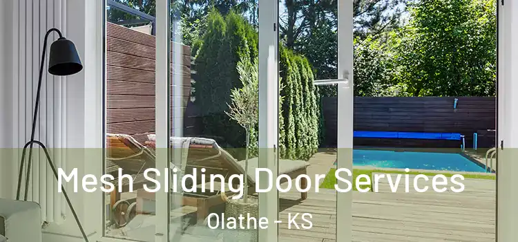 Mesh Sliding Door Services Olathe - KS